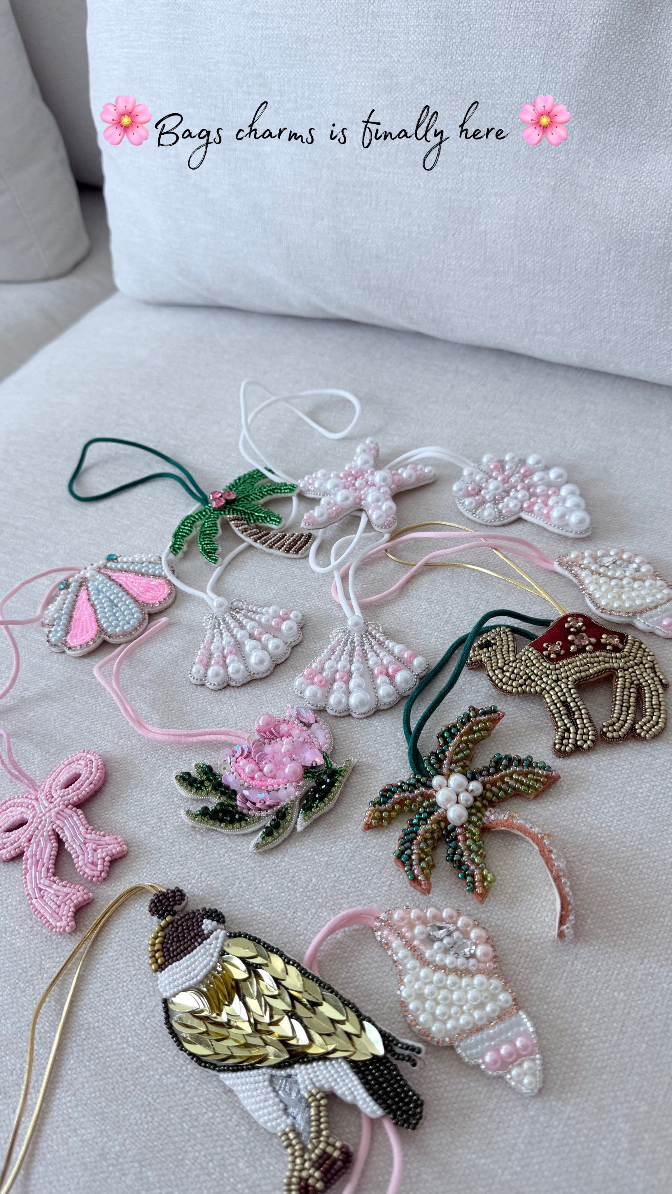 Bags charms